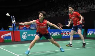 2017马来西亚羽毛球公开赛