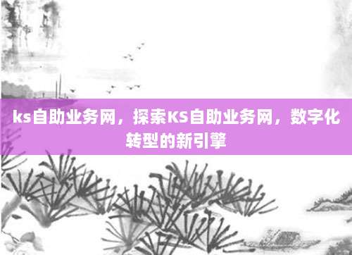ks自助业务网,探索KS自助业务网,数字化转型的新引擎