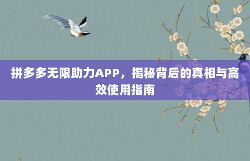 拼多多无限助力APP,揭秘背后的真相与高效使用指南