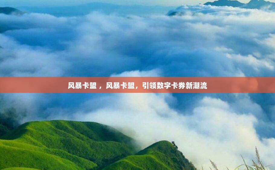 风暴卡盟 ，风暴卡盟，引领数字卡券新潮流