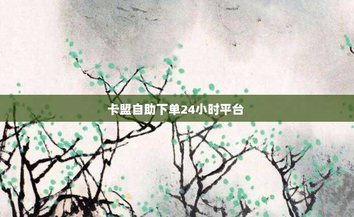 卡盟自助下单24小时平台 