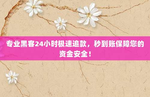 专业黑客24小时极速追款,秒到账保障您的资金安全!