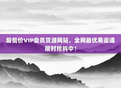 超低价VIP会员货源网站,全网最优惠渠道限时抢购中!