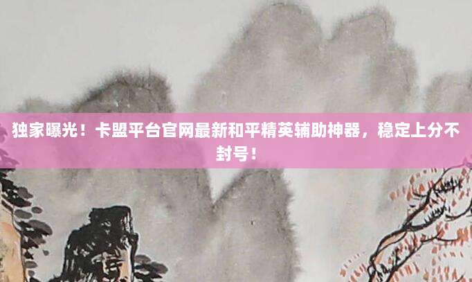 独家曝光！卡盟平台官网最新和平精英辅助神器，稳定上分不封号！