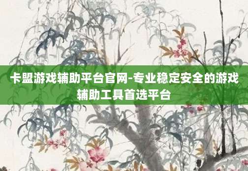 卡盟游戏辅助平台官网-专业稳定安全的游戏辅助工具首选平台