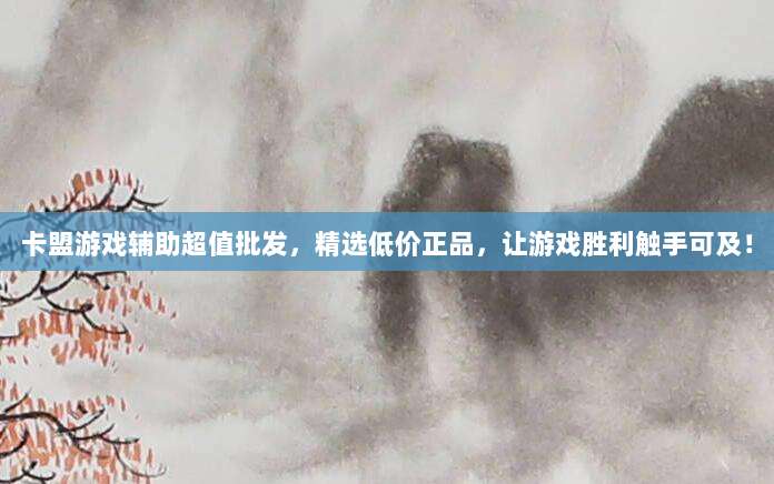 卡盟游戏辅助超值批发,精选低价正品,让游戏胜利触手可及!