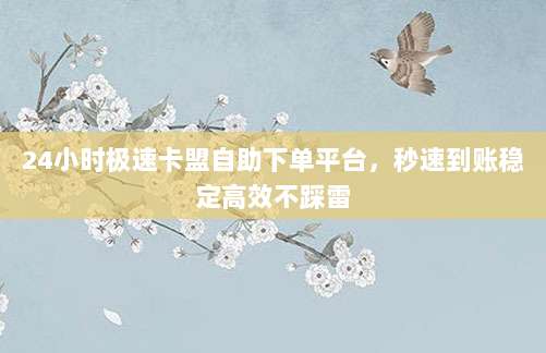 24小时极速卡盟自助下单平台,秒速到账稳定高效不踩雷