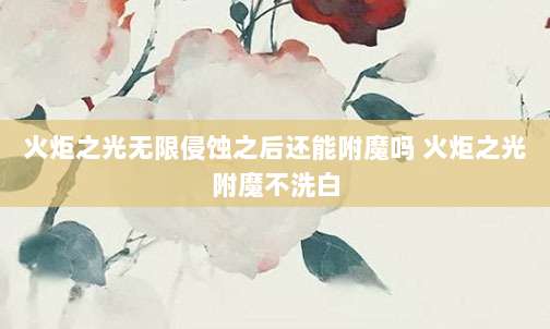 火炬之光无限侵蚀之后还能附魔吗 火炬之光附魔不洗白