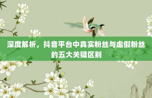 深度解析,抖音平台中真实粉丝与虚假粉丝的五大关键区别