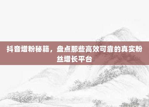 抖音增粉秘籍，盘点那些高效可靠的真实粉丝增长平台