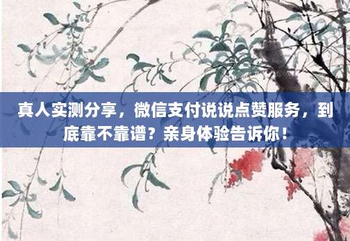 真人实测分享,微信支付说说点赞服务,到底靠不靠谱?亲身体验告诉你!