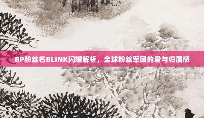 BP粉丝名BLINK闪耀解析,全球粉丝军团的爱与归属感