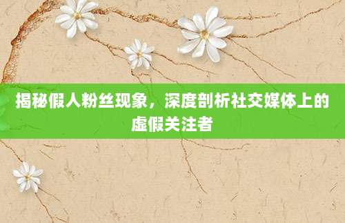 揭秘假人粉丝现象,深度剖析社交媒体上的虚假关注者