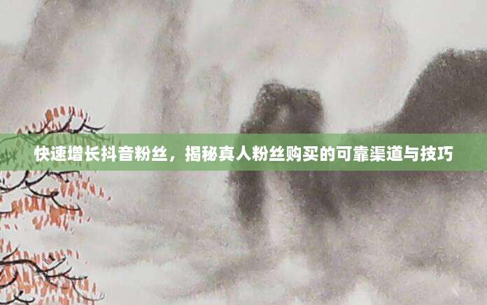 快速增长抖音粉丝，揭秘真人粉丝购买的可靠渠道与技巧