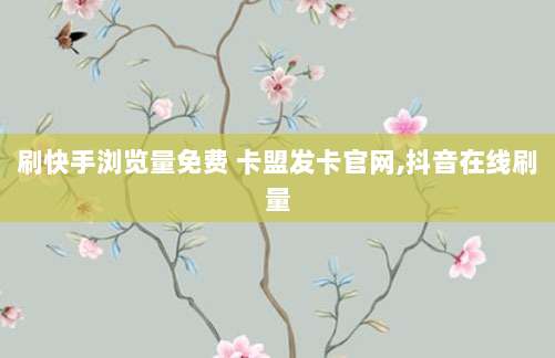 刷快手浏览量免费 卡盟发卡官网,抖音在线刷量