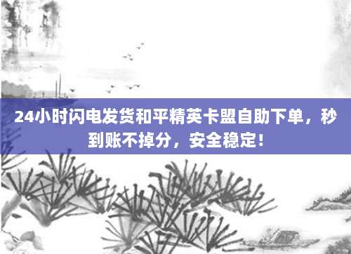 24小时闪电发货和平精英卡盟自助下单,秒到账不掉分,安全稳定!