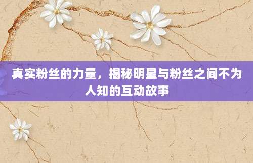 真实粉丝的力量,揭秘明星与粉丝之间不为人知的互动故事