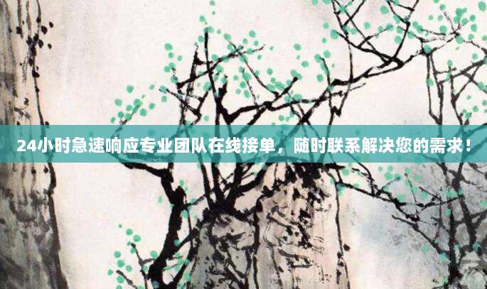 24小时急速响应专业团队在线接单，随时联系解决您的需求！