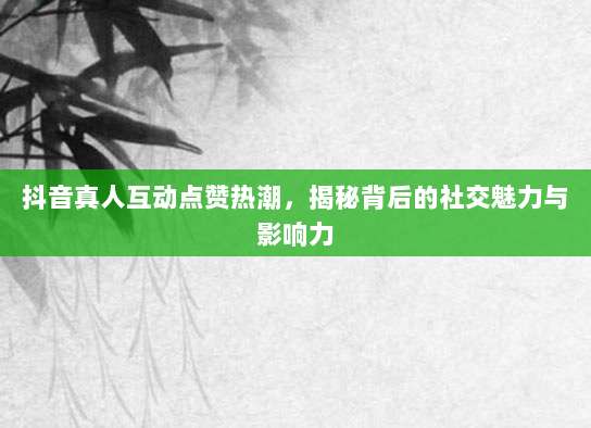 抖音真人互动点赞热潮,揭秘背后的社交魅力与影响力