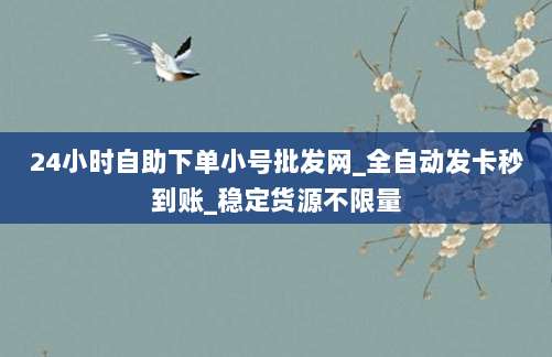 24小时自助下单小号批发网_全自动发卡秒到账_稳定货源不限量