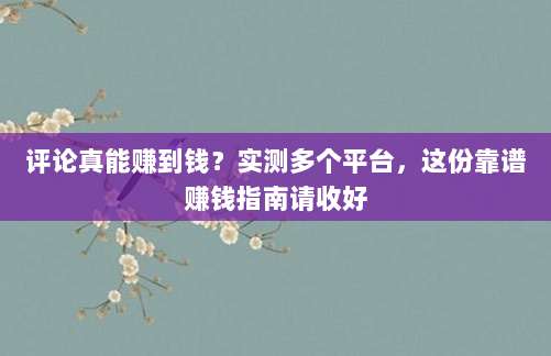 评论真能赚到钱？实测多个平台，这份靠谱赚钱指南请收好