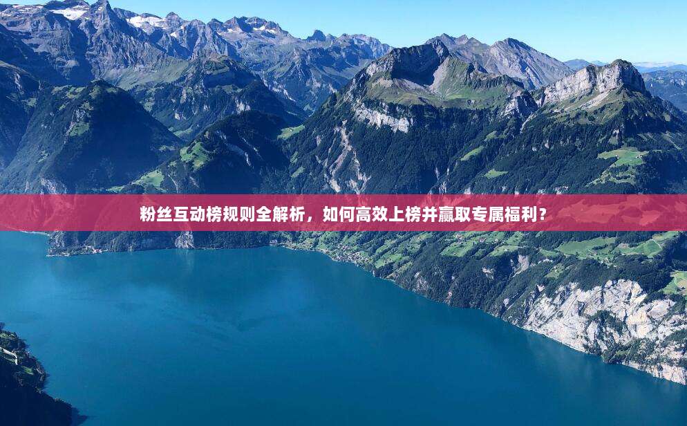 粉丝互动榜规则全解析，如何高效上榜并赢取专属福利？