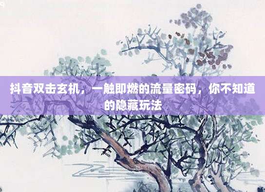 抖音双击玄机,一触即燃的流量密码,你不知道的隐藏玩法