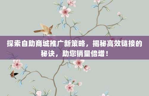 探索自助商城推广新策略，揭秘高效链接的秘诀，助您销量倍增！