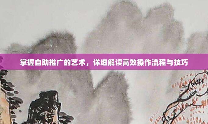 掌握自助推广的艺术,详细解读高效操作流程与技巧