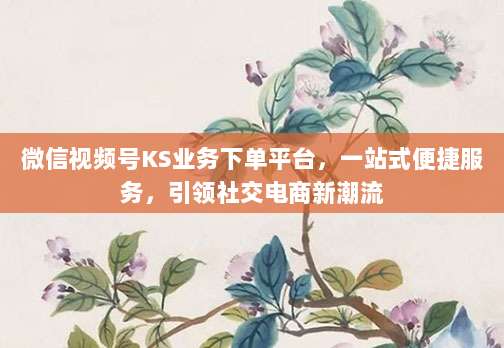 微信视频号KS业务下单平台，一站式便捷服务，引领社交电商新潮流