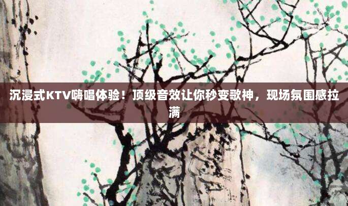 沉浸式KTV嗨唱体验!顶级音效让你秒变歌神,现场氛围感拉满