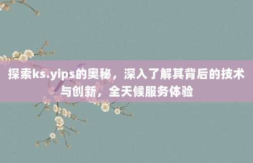 探索ks.yips的奥秘,深入了解其背后的技术与创新,全天候服务体验
