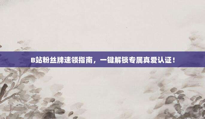 B站粉丝牌速领指南,一键解锁专属真爱认证!