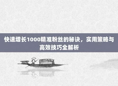 快速增长1000精准粉丝的秘诀,实用策略与高效技巧全解析