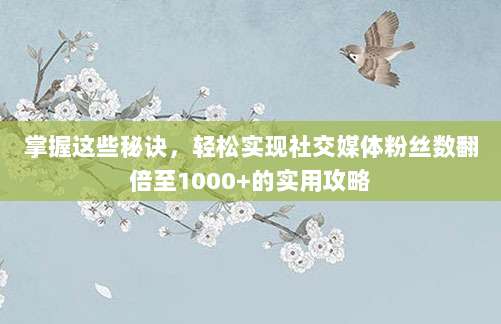 掌握这些秘诀，轻松实现社交媒体粉丝数翻倍至1000+的实用攻略