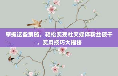 掌握这些策略,轻松实现社交媒体粉丝破千,实用技巧大揭秘