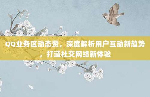 QQ业务区动态赞,深度解析用户互动新趋势,打造社交网络新体验