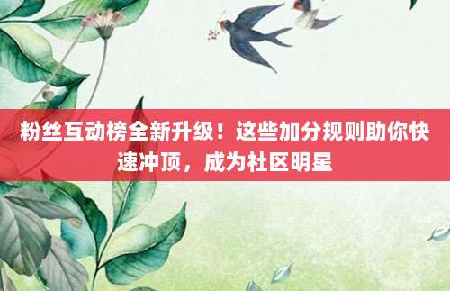 粉丝互动榜全新升级!这些加分规则助你快速冲顶,成为社区明星