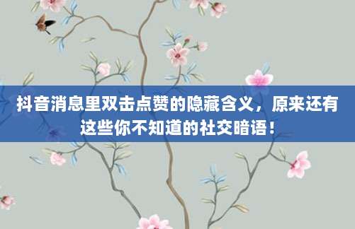 抖音消息里双击点赞的隐藏含义,原来还有这些你不知道的社交暗语!