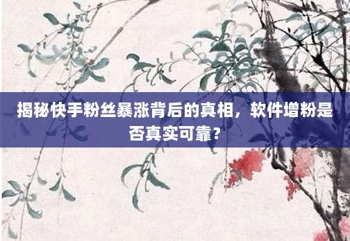 揭秘快手粉丝暴涨背后的真相，软件增粉是否真实可靠？