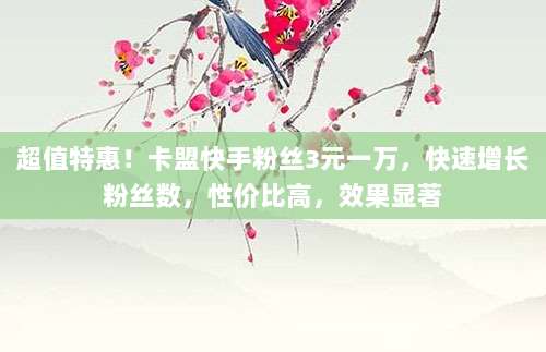 超值特惠!卡盟快手粉丝3元一万,快速增长粉丝数,性价比高,效果显著