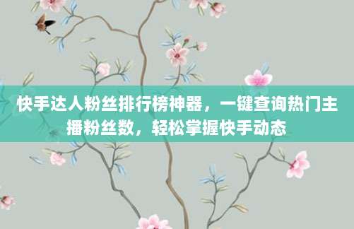 快手达人粉丝排行榜神器,一键查询热门主播粉丝数,轻松掌握快手动态