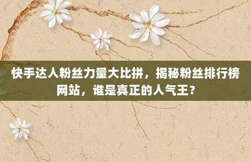 快手达人粉丝力量大比拼,揭秘粉丝排行榜网站,谁是真正的人气王?