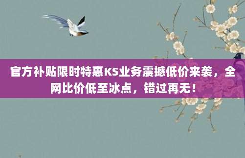 官方补贴限时特惠KS业务震撼低价来袭,全网比价低至冰点,错过再无!