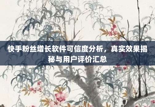 快手粉丝增长软件可信度分析，真实效果揭秘与用户评价汇总