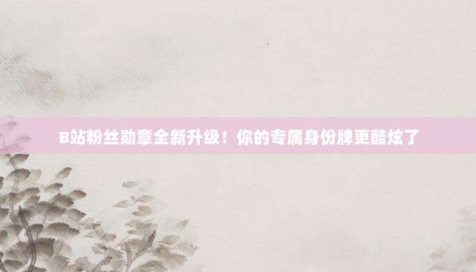 B站粉丝勋章全新升级!你的专属身份牌更酷炫了