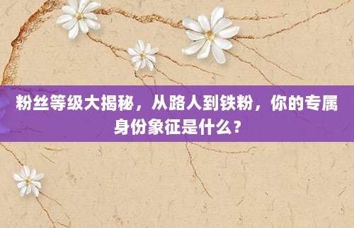 粉丝等级大揭秘,从路人到铁粉,你的专属身份象征是什么?