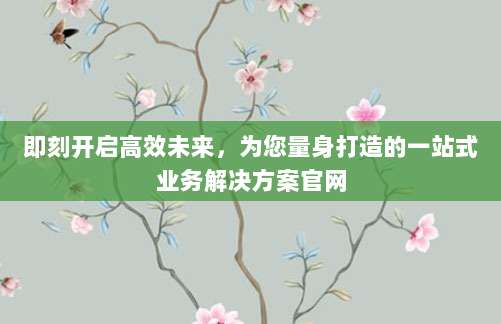 即刻开启高效未来，为您量身打造的一站式业务解决方案官网