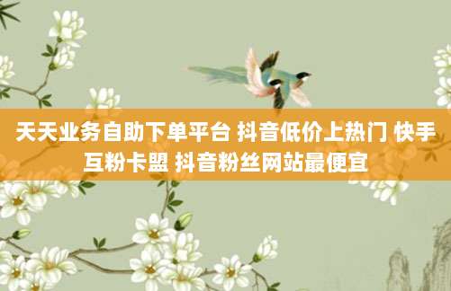 天天业务自助下单平台 抖音低价上热门 快手互粉卡盟 抖音粉丝网站最便宜
